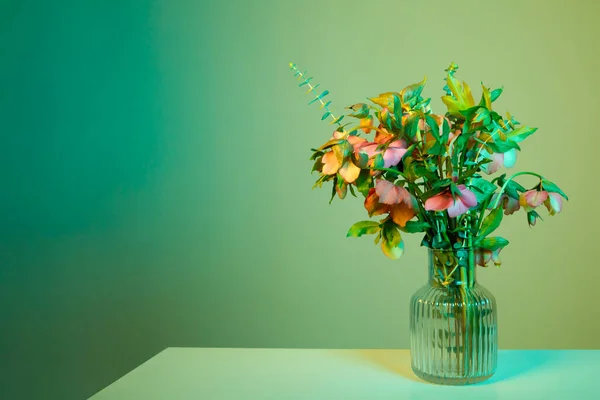 นหล งดอกไม เฮลโลเบอร — ภาพถ่ายสต็อก