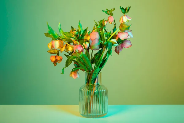 色彩艳丽的花背景 — 图库照片