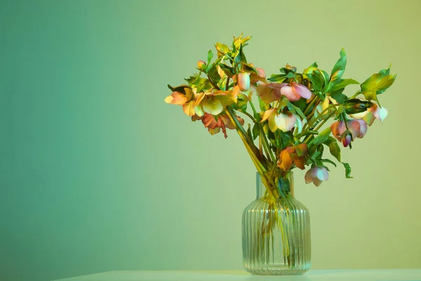 色彩艳丽的花背景 — 图库照片