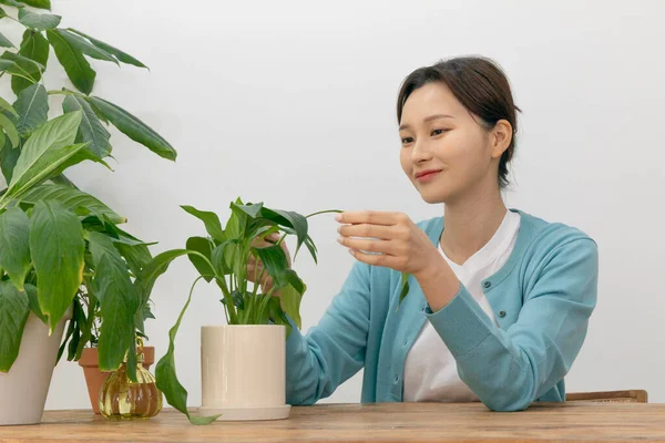 Evde Bitki Yetiştiren Koreli Kadının Mutlu Bekar Hayatı — Stok fotoğraf