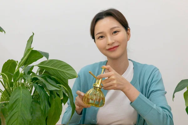 Boldog Egyedülálló Élet Koreai Növekvő Növények Otthon — Stock Fotó