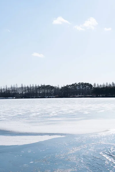 Snowy Winter Scenery Ilsan Lake Park Korea — Stock Photo, Image