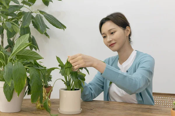 Evde Bitki Yetiştiren Koreli Kadının Mutlu Bekar Hayatı — Stok fotoğraf