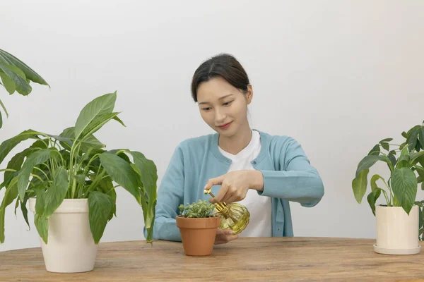 Feliz Vida Soltera Mujer Coreana Plantas Cultivo Casa — Foto de Stock