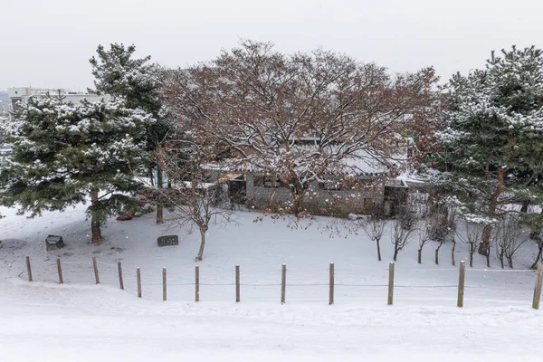 Piękna Zimowa Sceneria Suwon Hwaseong Forteca Korei — Zdjęcie stockowe