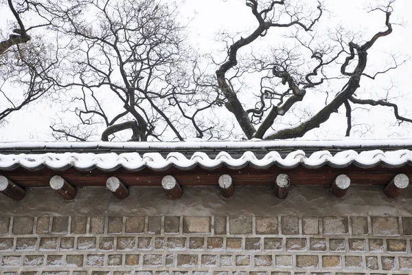 Changdeokgung Sarayı Nın Kar Manzarası Kore — Stok fotoğraf