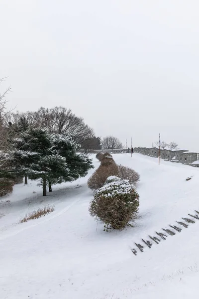 Piękna Zimowa Sceneria Suwon Hwaseong Twierdza Szlak Korei — Zdjęcie stockowe