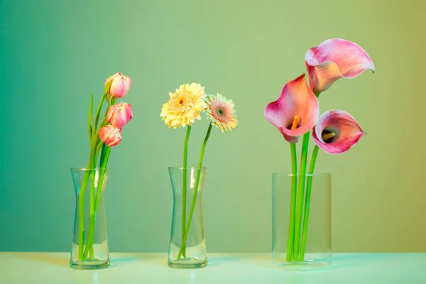 นหล งดอกไม ดอกไม — ภาพถ่ายสต็อก