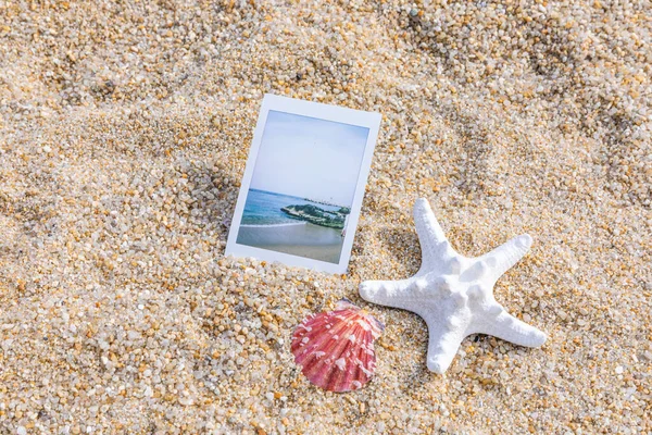 Beach Polaroid Camera Seashell — Stock Photo, Image
