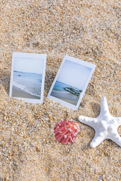 Beach Polaroid Camera Seashall — Stock Photo, Image