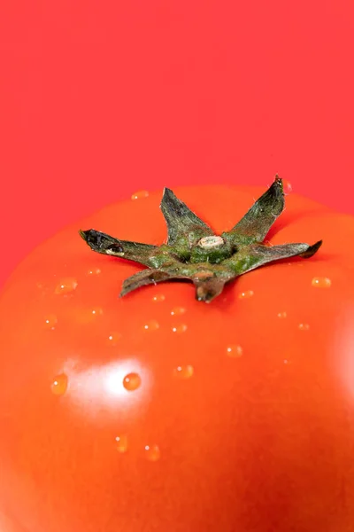 Zdjęcie Owocu Martwa Natura Pomidor — Zdjęcie stockowe