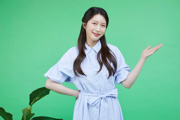 Πράσινος Καταναλωτής Κορεάτης Asain Όμορφη Γυναίκα Χέρια Gesturing Συστηθεί — Φωτογραφία Αρχείου