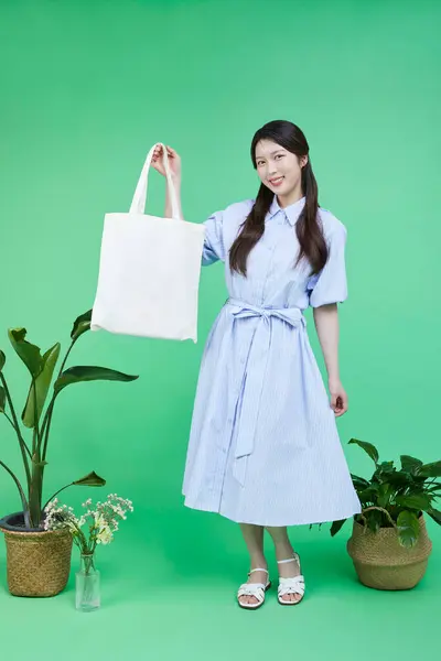Obrázek Korejské Asain Krásná Žena Drží Recyklovaný Předmět Eco Bag — Stock fotografie