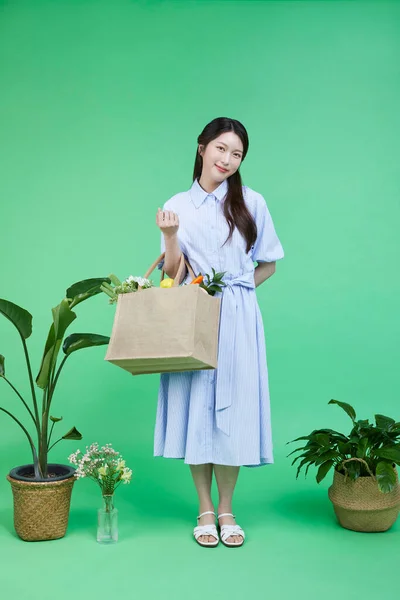 Greensumer Korejský Asain Krásná Žena Držící Nákupní Košík — Stock fotografie
