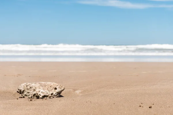 海滩海岸风景中的一块石头的特写 假期和放松的概念 — 图库照片