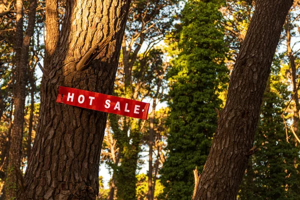 Red sign announcing the hot sale is nailed to a tree in the middle of a forest.