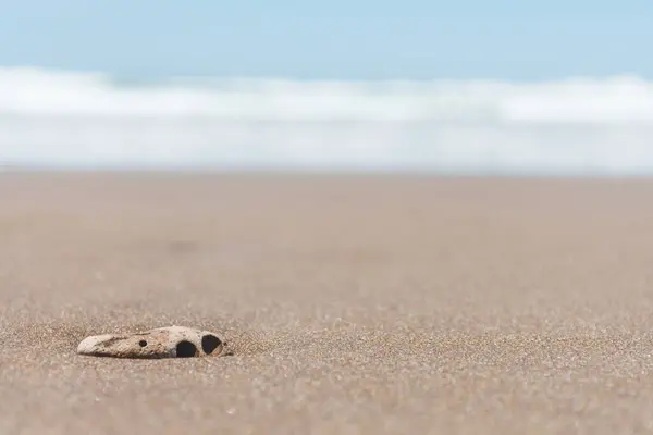 Foco Seletivo Uma Pedra Areia Praia Com Mar Fundo — Fotografia de Stock