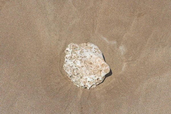 俯瞰大海沙中的一块石头 — 图库照片