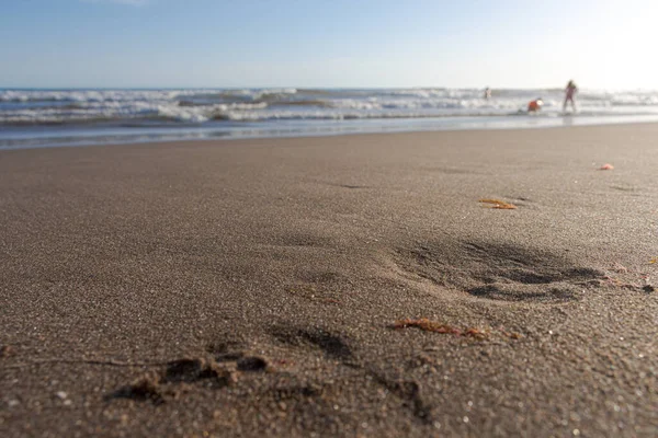 选择性地聚焦在沙滩上 以大海为背景 反射阳光 — 图库照片