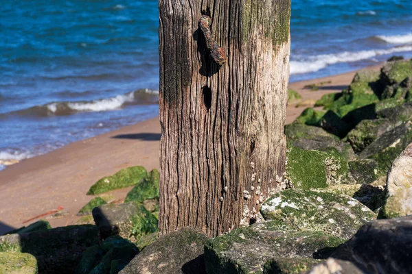 Corroded Timber Bank River Mossy Stones — Stock Photo, Image