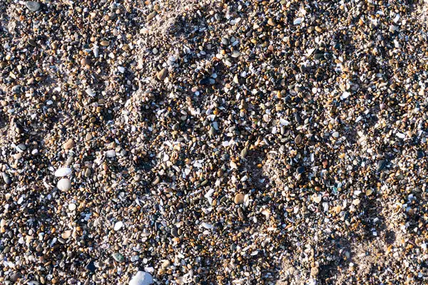 stock image Texture of beach sand with small stones, shells and snail remains.