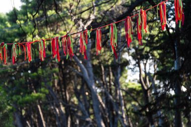 Ağaçların arasında asılı renkli pankartlar.