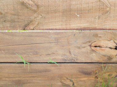 Kırsal ormanın dokusu yatay olarak dizilmiş ve çimenler dışarı bakıyor..