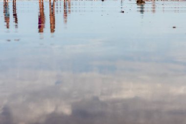 Gökyüzünün yansıması ve deniz kıyısında tanınmayan turistler..