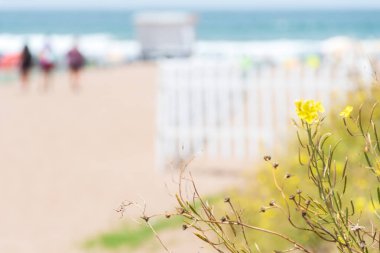 Çitleri ve bitkileri olan bir turist plajına erişim.