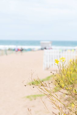 Çitleri ve bitkileri olan bir turist plajına erişim.