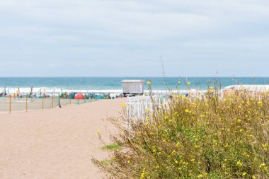 Çitleri ve bitkileri olan bir turist plajına erişim.