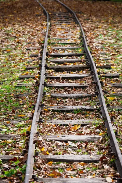 Sonbahar manzarasındaki demiryolu rayları üzerine seçici bir odak noktası.