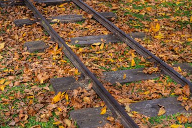 Sonbahar manzarasındaki demiryolu rayları üzerine seçici bir odak noktası.