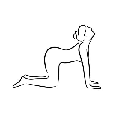 Yoga kedi pozunda stilize insan, marjariasana. Çizgi sanatı stilinin vektör illüstrasyonu. Yoga düz çizgi simgesi, basit poz vermiş kadın el çizimi illüstrasyonu.