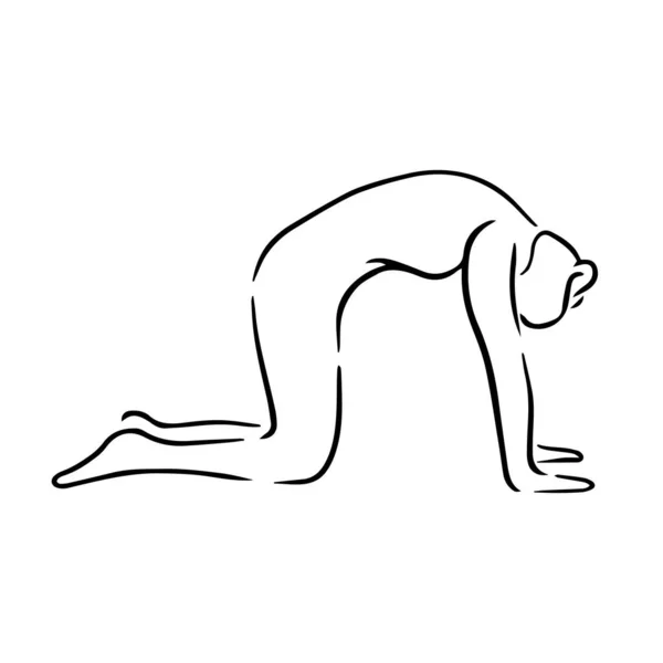 Stilisierter Mensch Yoga Katzenpose Majariasana Vektor Illustration Des Lineart Stils — Stockvektor