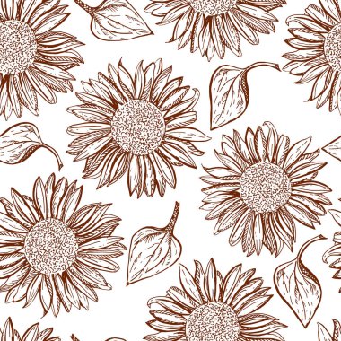 Vector seamless pattern. The sunflower is drawn by hand. Contour brown sunflowers on a white background