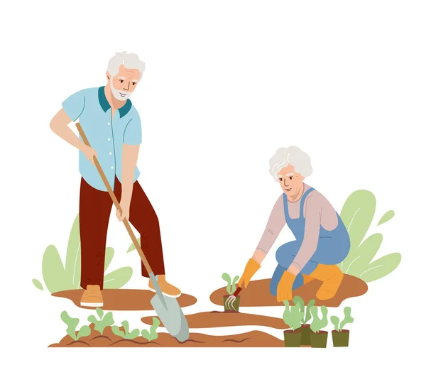 Senior People Planting Plants Retired Man Spade Woman Weeds Beds — Stok Vektör