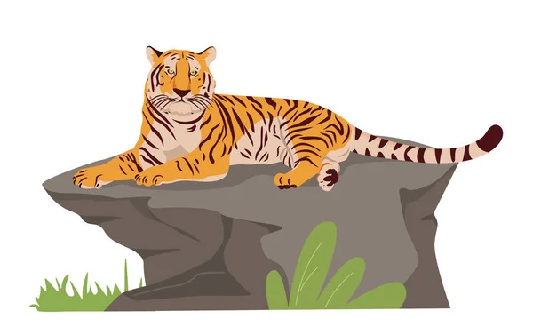 Lying Calm Tiger Boulder Wild Zoo Vector Illustration Flat Style — Stock Vector