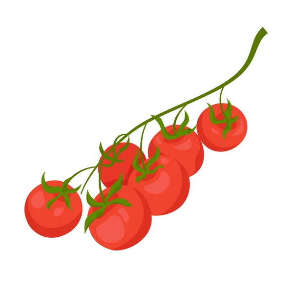 分枝向量上的红色樱桃西红柿 呈扁平的图例 背景为白色 — 图库矢量图片