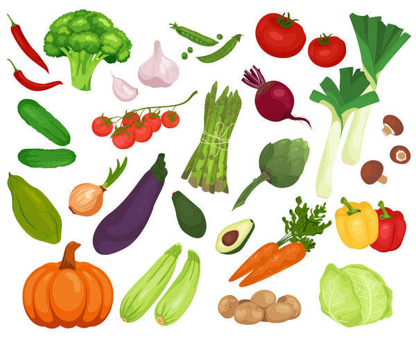 Vector vegetables icons set in a flat style isolated on white background. Collection farm product organic eco vegetable for restaurant menu, market label
