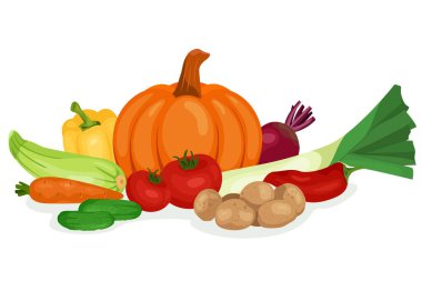 Taze sağlıklı sebze afişi. Çiftlik ürünleri, kabak, patates, kabak, domates karışımı. Restoran menüsü, market, etiket için organik eko tarım ürünü koleksiyonu. Vektör illüstrasyonu