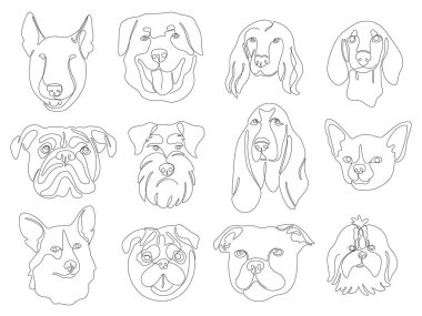 Köpek yavrularının portre simgelerini çizen sürekli bir çizgi seti. Schnauzer, dachshund, bulldog, beagle, pug, corgi, bull terrier 'in vektör görüntüleri. Tek çizgi çok az. Şirin köpek yavrusu siyah çizgisel çizim.