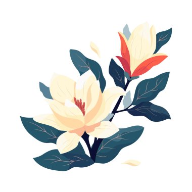 Tomurcuk, krema, beyaz çiçekler ve yeşil yapraklı manolya ağacı dalı. Zarif bahar çiçekleri düzenlenebilir vektör çizimi. İzole tasarımcı dekoratif öğesi. Yazdırma şablonu, kart