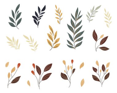 Çeşitli şekil ve boyutlarda karmaşık yapraklar içeren el yapımı vektör tasarım elementleri. Projelerinize doğal, organik dokunuşlar eklemek için mükemmel, çizimlerden baskılara ve dijital
