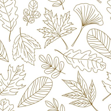 Kusursuz bir desen ve çeşitli sonbahar yaprakları beyaz zemin üzerinde zarif taslak tarzında narin botanik çizgisi sanatı. Çevre ambalajı, ambalaj, kırtasiye malzemeleri, kartlar, posterler ve tekstil baskıları için ideal
