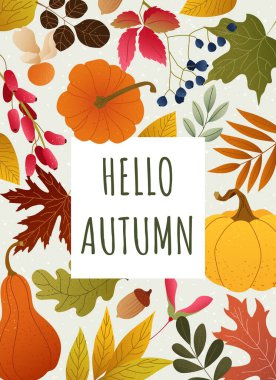 Balkabağı, böğürtlen, meşe palamudu ve renkli yapraklarla dolu bir sonbahar kartı. Sıcak mevsimlik Şükran Günü tasarımı. Poster, baskı, sonbahar pankartı, tebrik kartı. Merhaba sonbahar.