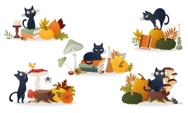 Tatlı siyah kedilerle, balkabaklarıyla, kitaplarıyla, mantarlarıyla samimi sonbahar kompozisyonları. Meraklı duygusal karakterler bu rahat Cadılar Bayramı illüstrasyonlarına cazibe katıyor. Sezonluk tasarım, baskılar, kartlar için vektör seti.