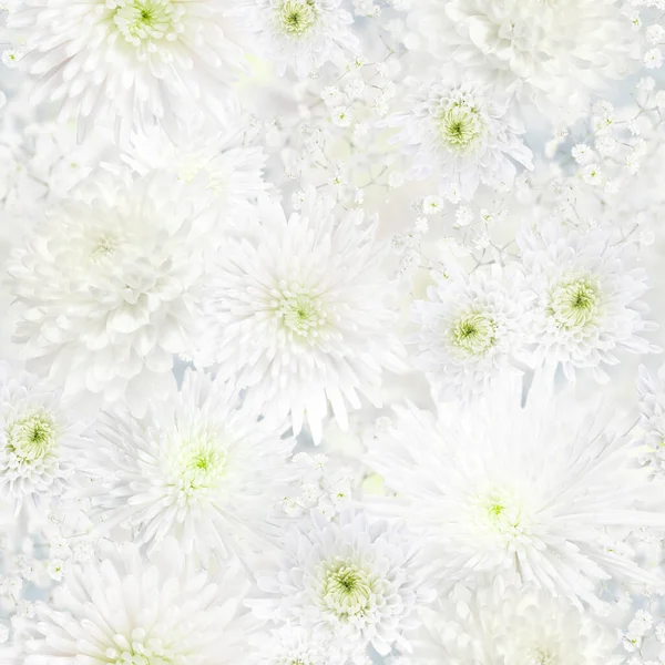 Chryzantéma Gypsophila Bílé Květy Bezešvé Svatby Nebo Romantické Pozadí — Stock fotografie