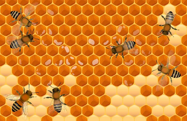 Zbliżenie Widok Pracujących Pszczół Komórki Miodu Wektor Ilustracji — Wektor stockowy