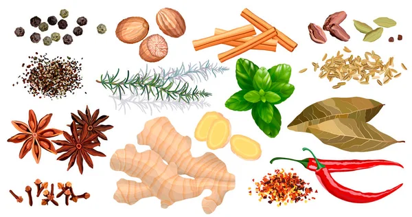 Set Various Spices Herbs Top View Vector Illustration — Stockvektor